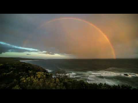 Genesis 8:8 - 10:20