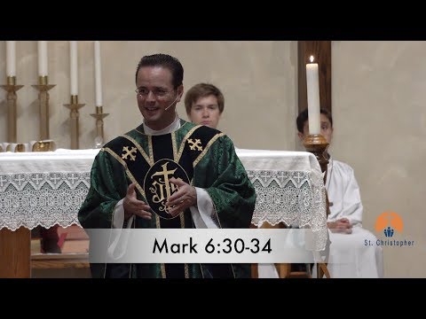 Sixteenth Sunday in Ordinary Time: Gospel - Mark 6:30 34