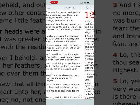 Walk&Talk : Jer 28:8