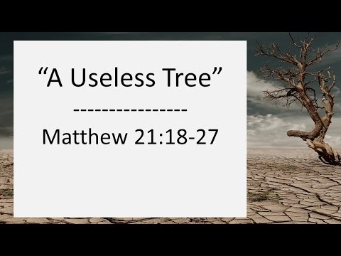 Matthew 21:18-27  "A Useless Tree" - Pastor Matthew Johnson