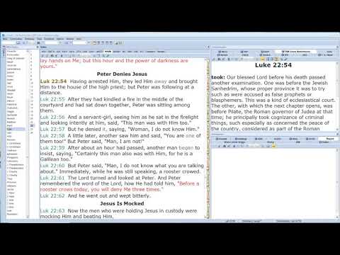 Luke 22:53-23:1 Video