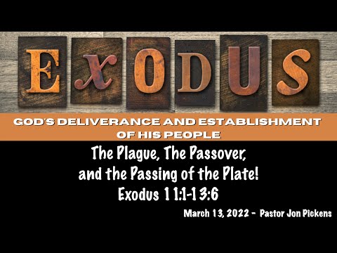 The Plague, The Passover, and the Passing of the Plate! (Exodus 11:1-13:6) | March 13, 2022