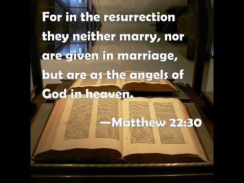 Life in Heaven Matthew 22:30-ff.