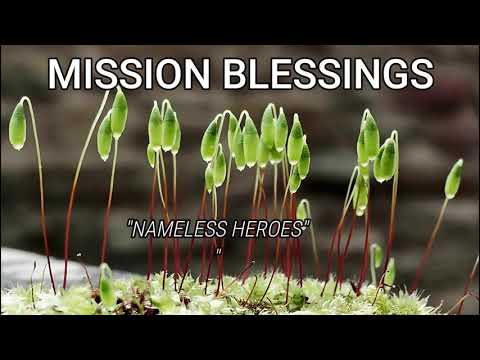 Nameless Heroes   ( 2 Kings 5:1-4 )  Mission Blessings
