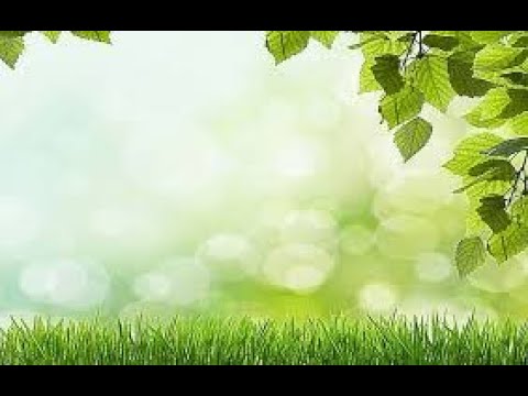 The Pride Of His Heart. 2 Chronicles 32:24-26 Bible Study  2