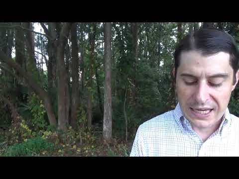 1 Thessalonians 2:9-13 Reading