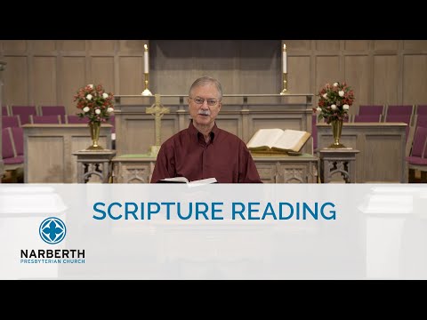 Scripture Reading - Luke 8:4-8, 11-15  & Acts 2:42 - Pastor Steve Weed