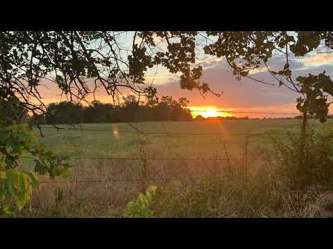 Scripture Verse By Verse (5) Psalm 97:1-12