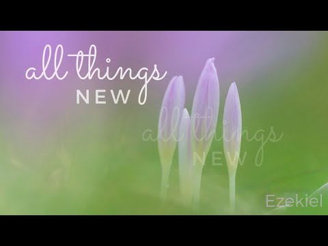 A New Covenant (Ezekiel 34:25-30)