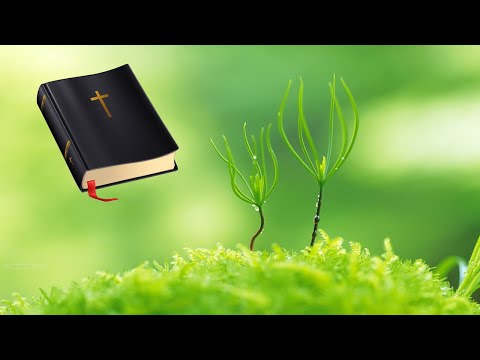 நீதிமொழிகள்(பழமொழி ஆகமம்) 25:21/Proverbs 25:21