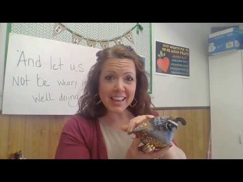 Children's Church Lesson | Coin in the mouth of the fish | Matthew 17:27