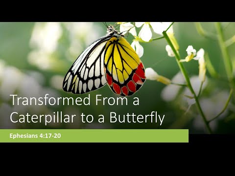 Transformed from a Caterpillar to a Butterfly - Ephesians 4:17-20