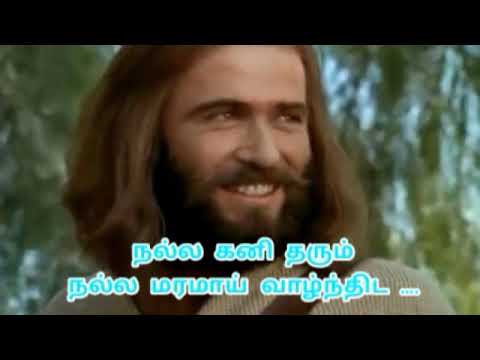 Gospel Reflection Luke 6:43-46