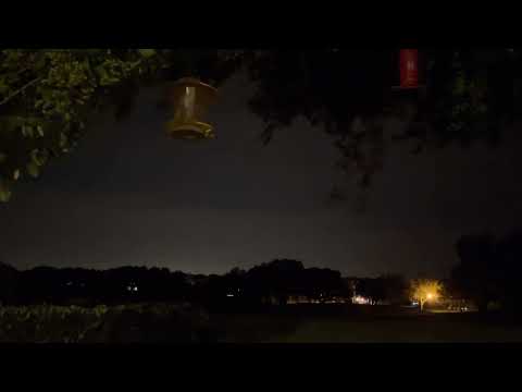 Day 229~ August 17~ Nehemiah 12:27-13:31, 1 Corinthians 11:1-16, Psalm 35:1-16, Proverbs 21:17-18