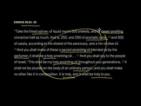 Christian Unity Is a Precious Gift: Psalm 133:2