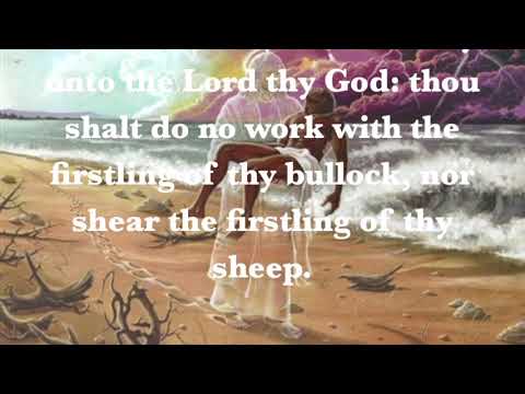 Fri.-Mar. 5th-Consecrate All Firstborn to God-Exodus 13:1-2; Deut. 15:19-20 Temple Of Faith Of God