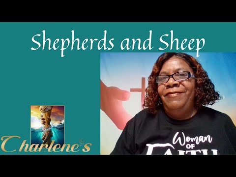 Shepherds and Sheep. Ezekiel 34: 11-16. Wednesday's, Daily Bible Study.
