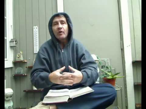 OpenBible: "God said, God created" Genesis 1:20-21