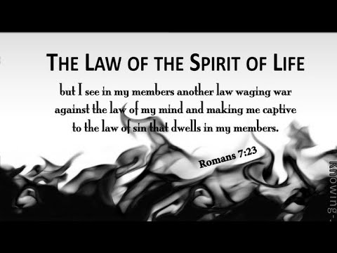 Captivity To The Law Of Sin (Rom.7:22-23)  Word Of The Week