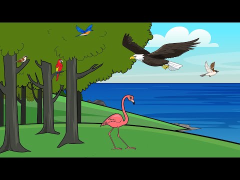 5/14/22 Preschool Lesson - Birds and Fish (Genesis 1:20-21)