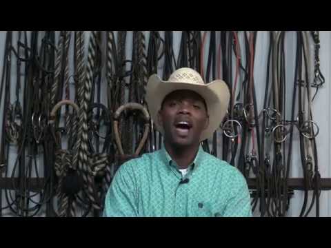 Proverbs 14:12 Devotional