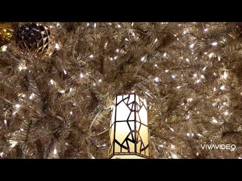 Jesus Came bringing Restoration  Simple Devotion From Jeremiah 30:1-24   A Christmas Message