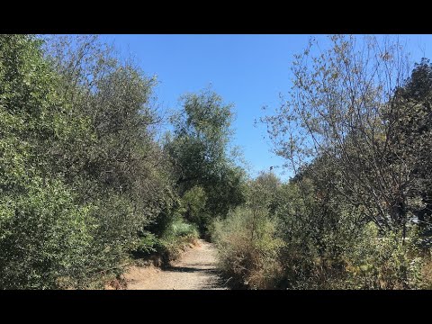 9/4/2022 13th Sunday after Pentecost Luke 14:25-34, Deuteronomy 30:15-20 & Psalm 1