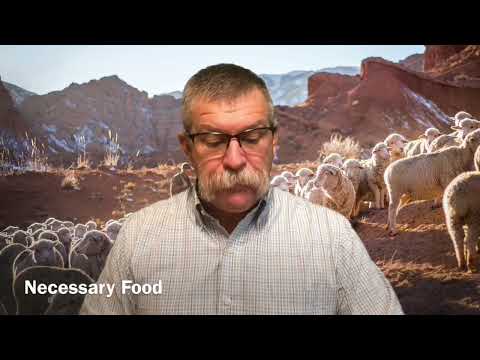 Shepherds should feed the flock - Ezekiel 34:2-4