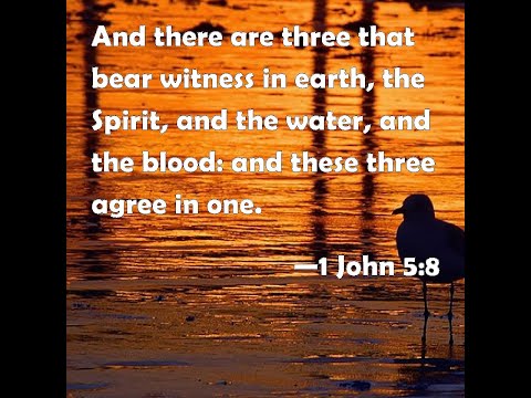Why can't people in the churches today understand 1 John 5:8?
