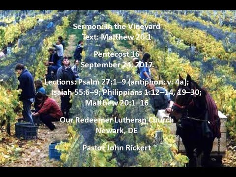 Matthew 20:1 In The Vineyard