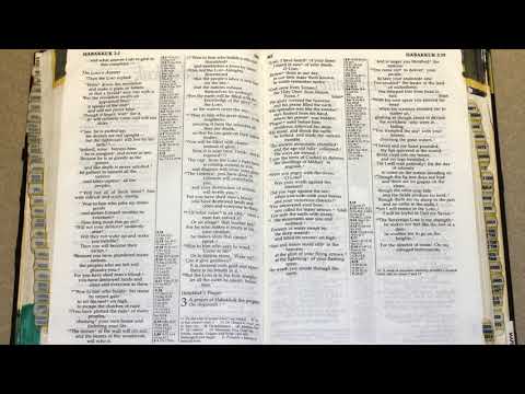 Holy Bible - Habakkuk 3 : 1 - 19