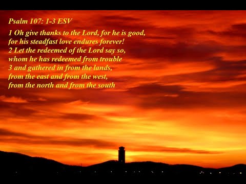 Reflections on Psalm 107:1-3, 17-22