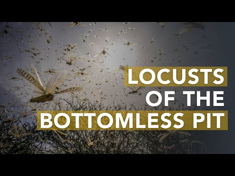 Revelation 9:1-12 | Locusts of the Bottomless Pit and the Torment of Men