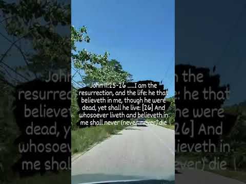 Psalm 89:48 What man is he that liveth, and shall not see death? shall he deliver his soul fro....