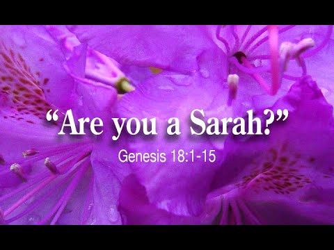 "Are you a Sarah?" Genesis 18:1-15