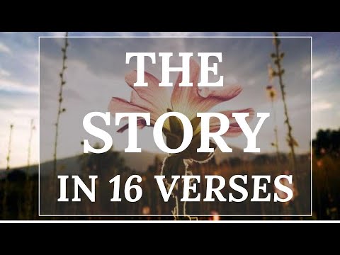 The Story in 16 Verses: 2 Samuel 7:12-13