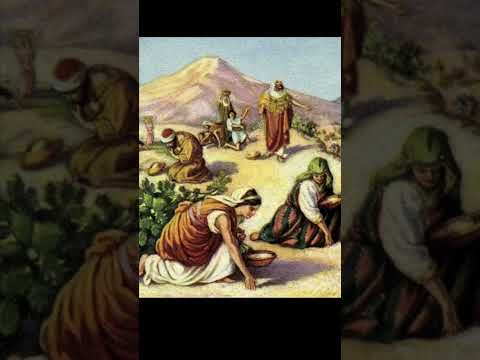 Psalm 78:25 Men ate angels’ food; He sent them food to the full. God’s kindness .