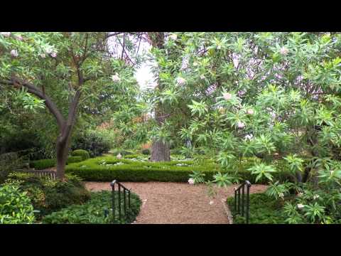 Pastor Mack A Harris Jr - Acts 28:3-9