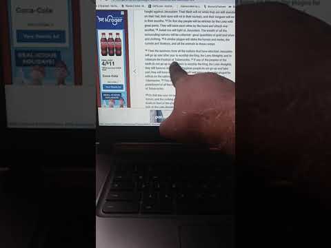 Recapture what was stolen John 10:22 2nd Maccabees 2:7 Amos 9:11 Micah 4:1