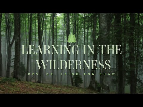 Sermon for March 6, 2022 - Learning in the Wilderness - Deuteronomy 26:1-11 & Mark 1:12-15