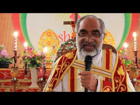 Daily reflection St Luke 18:18-30(24/07/2020)