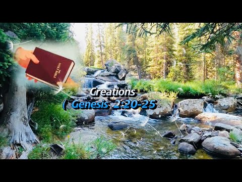 God Creation (Genesis 2:20-25)