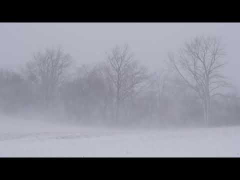 Scripture Verse By Verse (5) Psalm 103:13-22