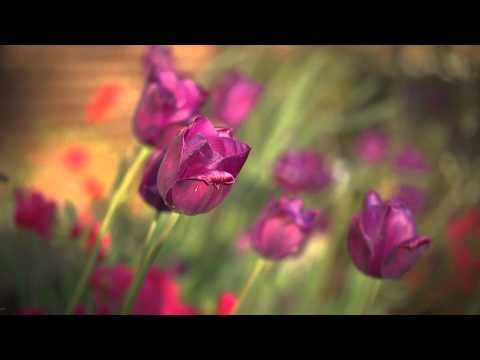 FLBC Daily Devotion Proverbs 19:11