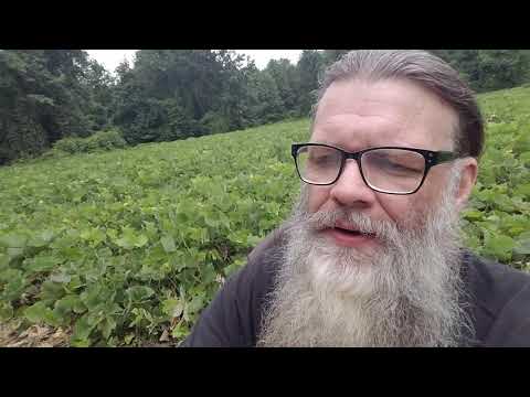 1 Corinthians 8:6 KJV