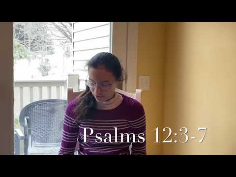S.O.A.P. Psalms 12:3-7