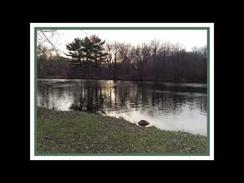 Coffee Break (5 Minutes with God) Psalm 40:9-12