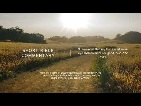 Job 7:17 - Short Bible commentary