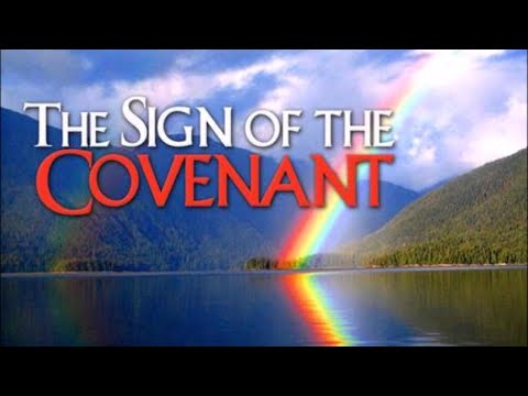 Reflections on Genesis 9:8-17