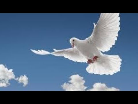 Promise of the Holy Spirit - John 7:37-53